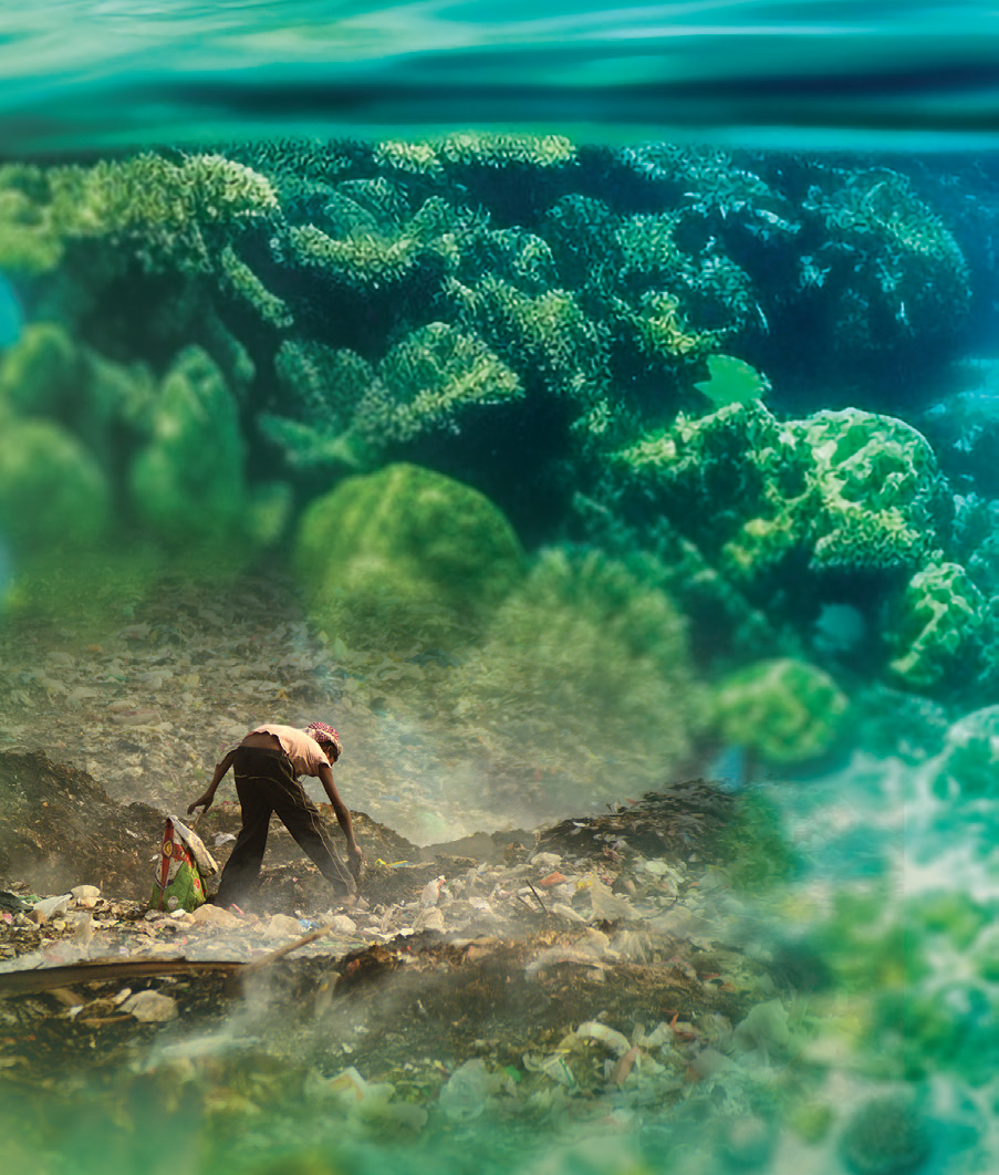 Brand artwork connecting ocean ecosystems with waste collection on land